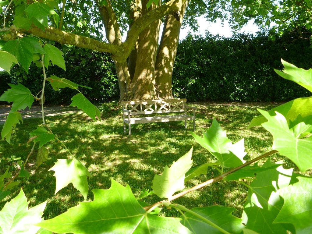 Domaine Du Papillon Bed & Breakfast Lesparre-Médoc Dış mekan fotoğraf