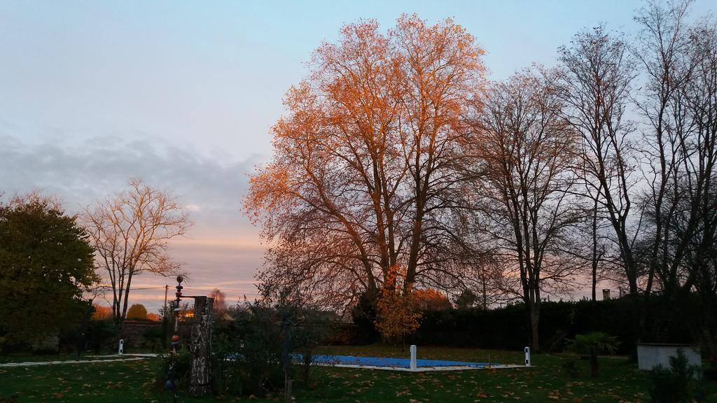 Domaine Du Papillon Bed & Breakfast Lesparre-Médoc Dış mekan fotoğraf
