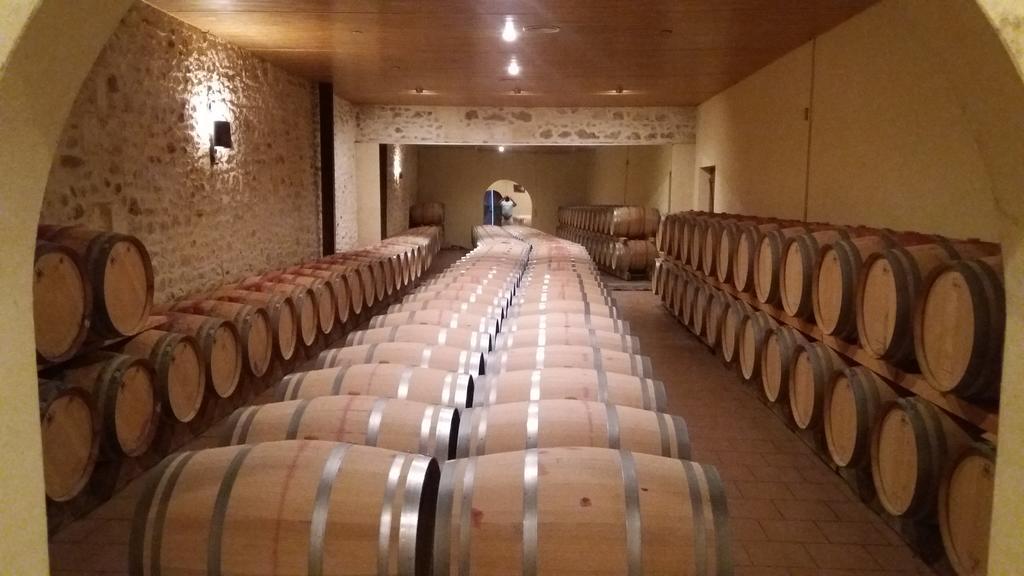 Domaine Du Papillon Bed & Breakfast Lesparre-Médoc Dış mekan fotoğraf