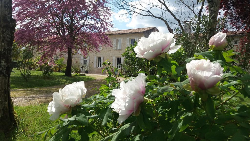 Domaine Du Papillon Bed & Breakfast Lesparre-Médoc Dış mekan fotoğraf